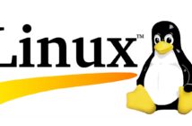 La nascita di Linux: quando Linus creò una rivoluzione