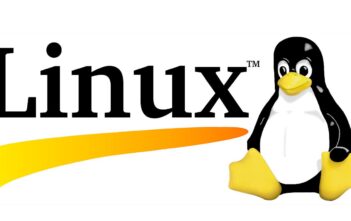 La nascita di Linux: quando Linus creò una rivoluzione La nascita di Linux: quando Linus creò una rivoluzione