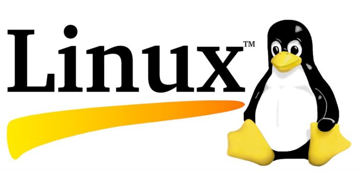 La nascita di Linux: quando Linus creò una rivoluzione