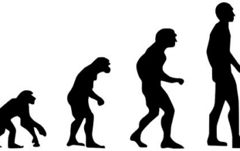 L’evoluzione dei linguaggi di markup: da SGML a Markdown