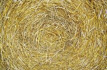 File compressi: ZIP, RAR e 7z spiegati