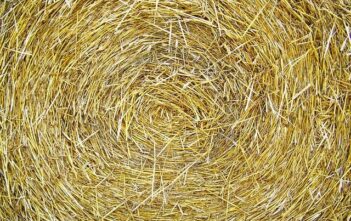 File compressi: ZIP, RAR e 7z spiegati