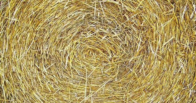 File compressi: ZIP, RAR e 7z spiegati