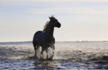 MIDI: lo standard che ha unito musica e informatica