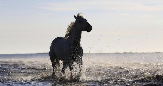 MIDI: lo standard che ha unito musica e informatica