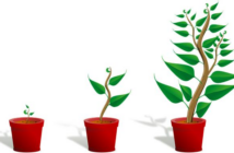 Il concetto di retrocompatibilità nei videogiochi