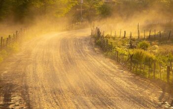 ARM contro x86: differenze architetturali spiegate bene