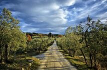 Evoluzione delle piattaforme di e-learning digitali