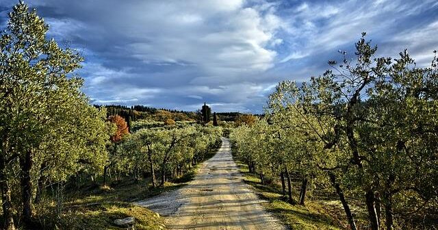 Evoluzione delle piattaforme di e-learning digitali