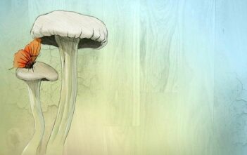 Storia dei formati audio digitali compressi