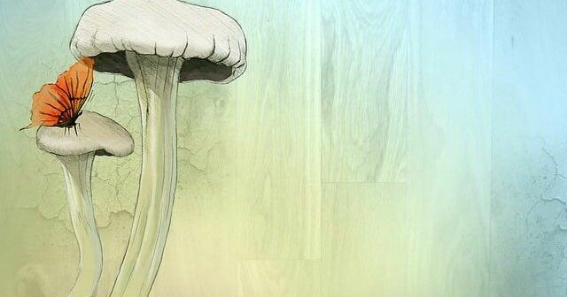 Storia dei formati audio digitali compressi