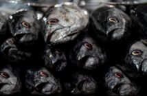 Storia dei marketplace digitali prima di Amazon