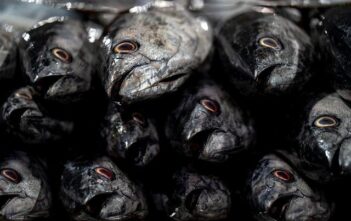 Storia dei marketplace digitali prima di Amazon