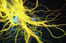 Come funzionano le reti neurali profonde