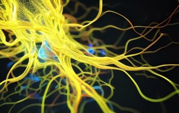 Come funzionano le reti neurali profonde