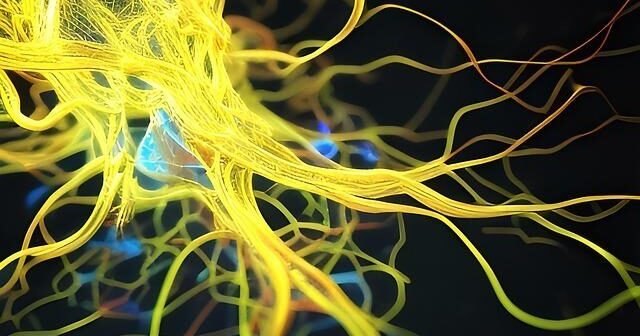 Come funzionano le reti neurali profonde