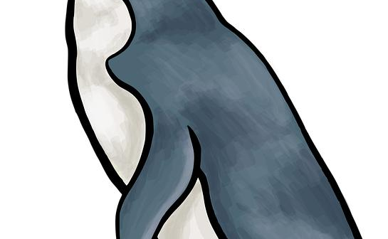 Linux nelle aziende: perché domina i server